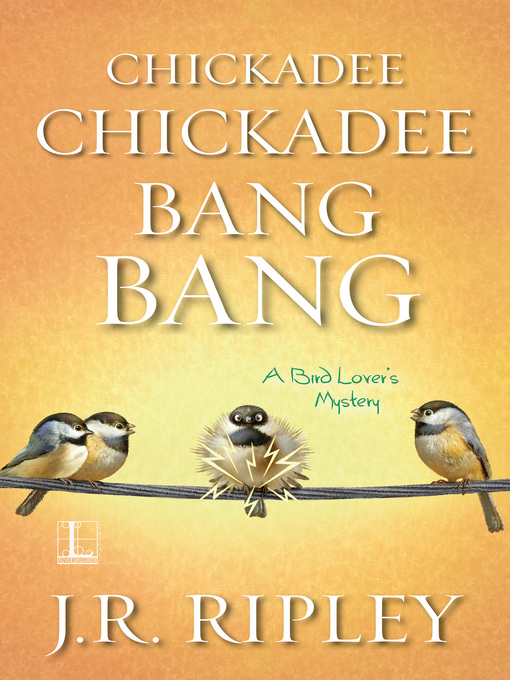 Cover image for Chickadee Chickadee Bang Bang